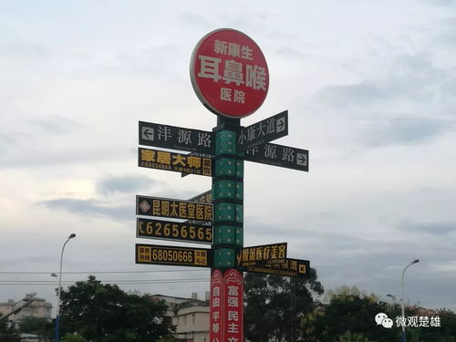 细节铸就文明 从海南路牌广告看城市风貌的精细化治理