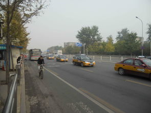 雾霾下的“椰林”呼唤 当海南路牌广告叩击北京的灰色天空